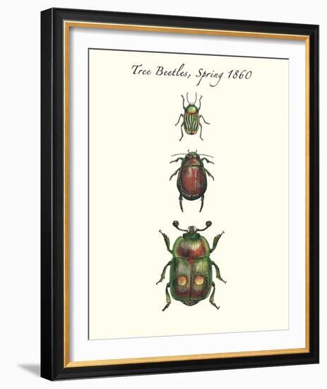 Tree Beetles-Maria Mendez-Framed Giclee Print