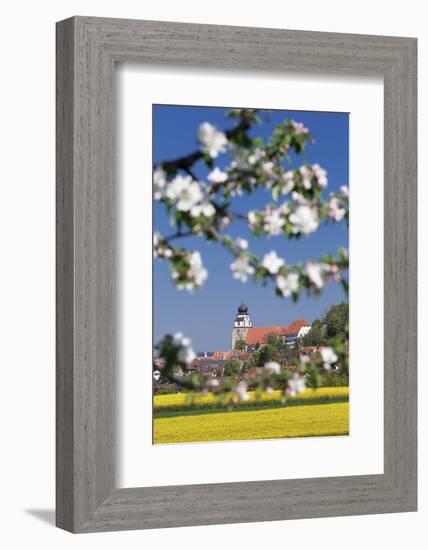 Tree Blossom and Rape Fields in Spring, Stiftskirche Church, Herrenberg, Baden-Wurttemberg, Germany-Markus Lange-Framed Photographic Print