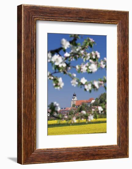 Tree Blossom and Rape Fields in Spring, Stiftskirche Church, Herrenberg, Baden-Wurttemberg, Germany-Markus Lange-Framed Photographic Print