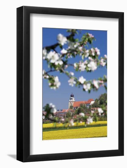 Tree Blossom and Rape Fields in Spring, Stiftskirche Church, Herrenberg, Baden-Wurttemberg, Germany-Markus Lange-Framed Photographic Print