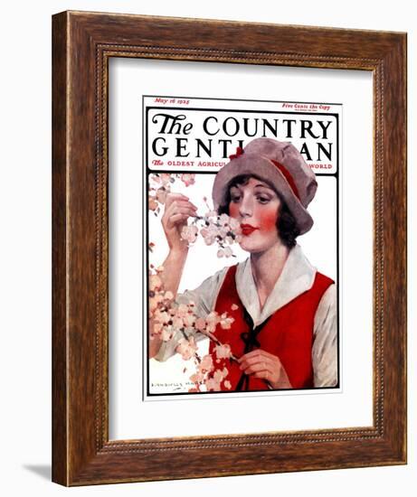 "Tree Blossoms," Country Gentleman Cover, May 16, 1925-J. Knowles Hare-Framed Giclee Print