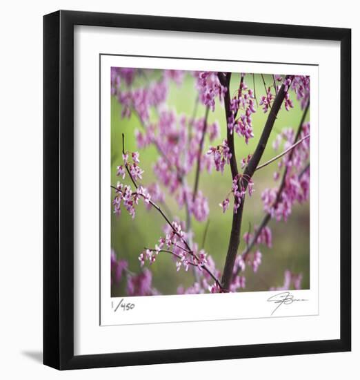 Tree Blossoms-Ken Bremer-Framed Limited Edition