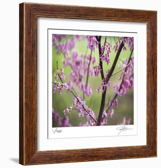 Tree Blossoms-Ken Bremer-Framed Limited Edition