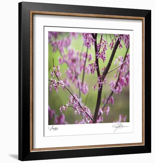 Tree Blossoms-Ken Bremer-Framed Limited Edition