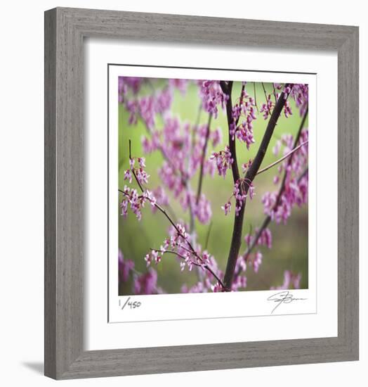 Tree Blossoms-Ken Bremer-Framed Limited Edition