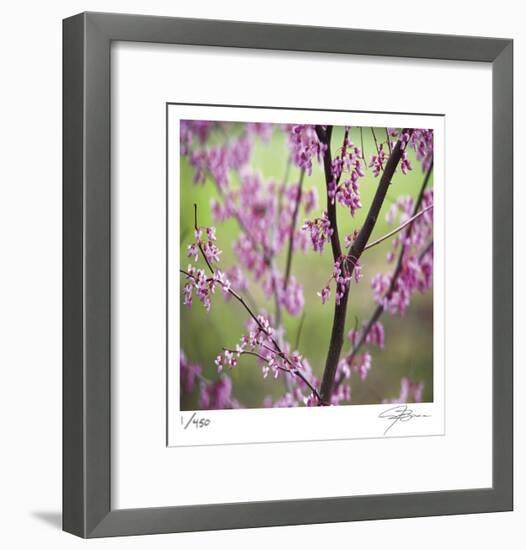 Tree Blossoms-Ken Bremer-Framed Limited Edition