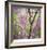 Tree Blossoms-Ken Bremer-Framed Limited Edition