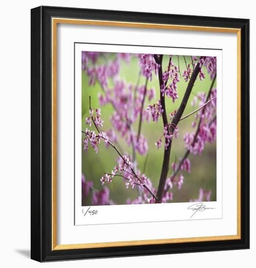 Tree Blossoms-Ken Bremer-Framed Limited Edition