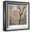 Tree Blossoms-Ken Bremer-Framed Limited Edition