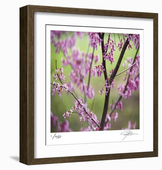 Tree Blossoms-Ken Bremer-Framed Limited Edition