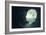 Tree brain with human head cape-Kampanart Sangsorn-Framed Art Print