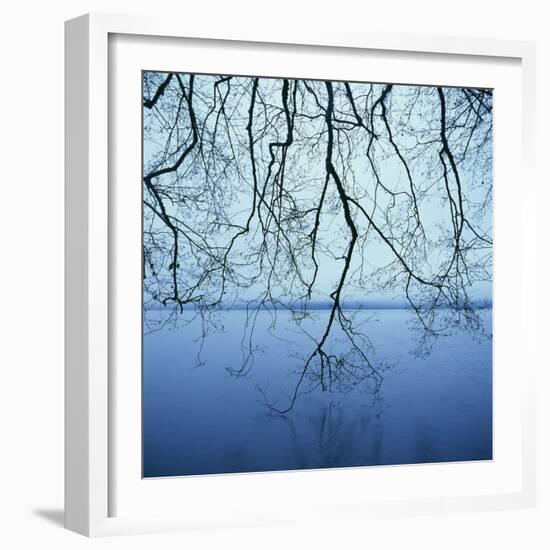 Tree Branch over Lake-Micha Pawlitzki-Framed Photographic Print