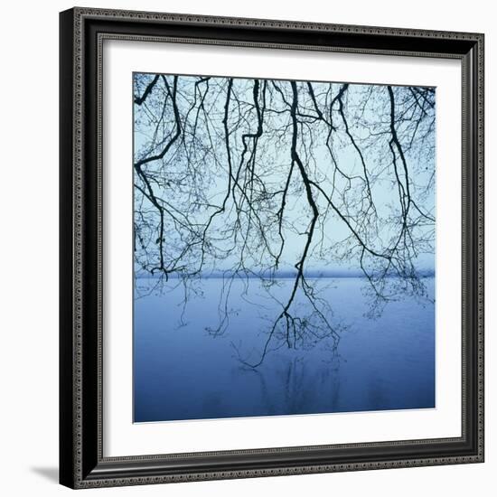 Tree Branch over Lake-Micha Pawlitzki-Framed Photographic Print