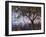 Tree Branch-Joseph Marshal Foster-Framed Art Print