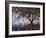 Tree Branch-Joseph Marshal Foster-Framed Art Print