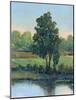 Tree by the Riverbank I-Tim OToole-Mounted Art Print