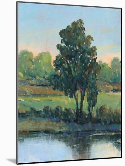 Tree by the Riverbank I-Tim OToole-Mounted Art Print