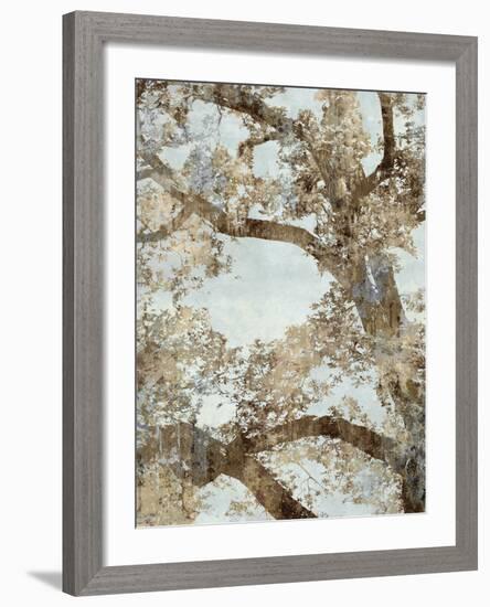 Tree Canopy I-Tania Bello-Framed Giclee Print