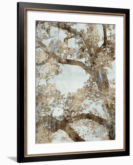 Tree Canopy I-Tania Bello-Framed Giclee Print