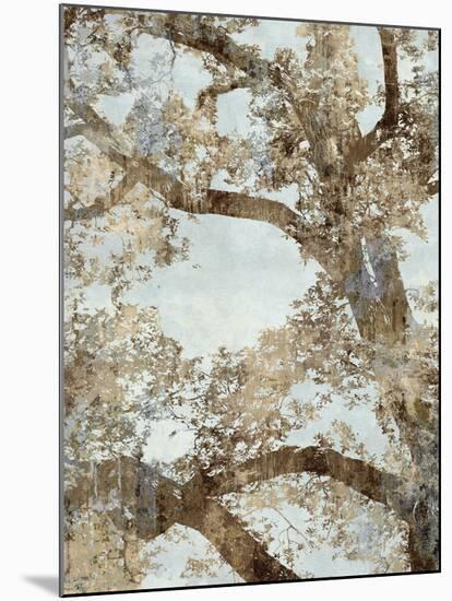 Tree Canopy I-Tania Bello-Mounted Giclee Print