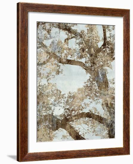 Tree Canopy I-Tania Bello-Framed Giclee Print