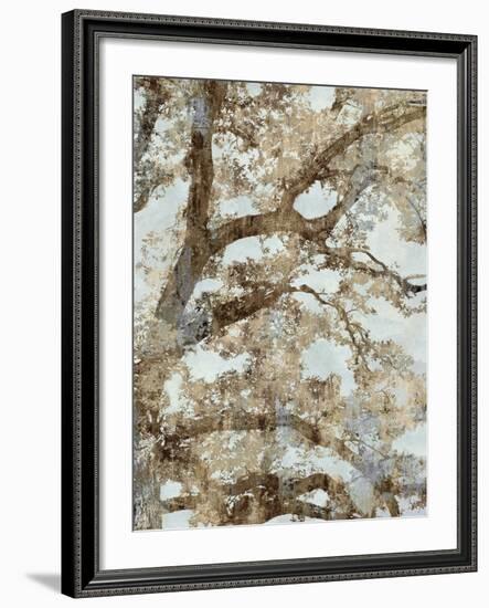 Tree Canopy II-Tania Bello-Framed Giclee Print
