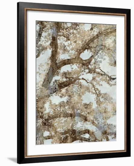 Tree Canopy II-Tania Bello-Framed Giclee Print