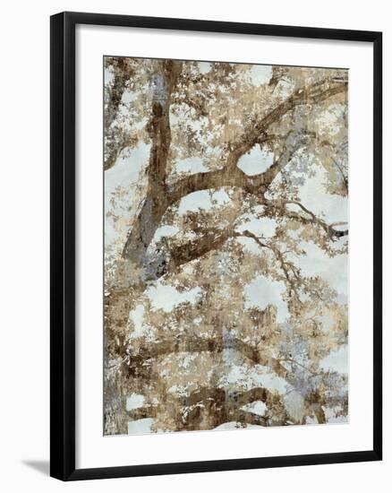 Tree Canopy II-Tania Bello-Framed Giclee Print