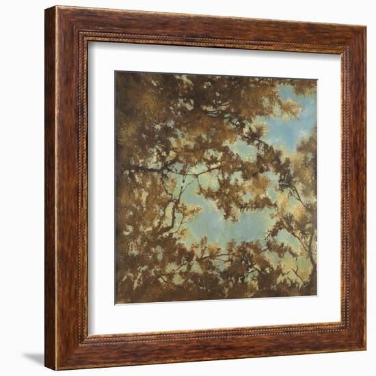 Tree Canopy-Liz Jardine-Framed Art Print