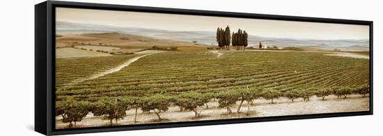 Tree Circle, Tuscany-Trevor Neal-Framed Premier Image Canvas