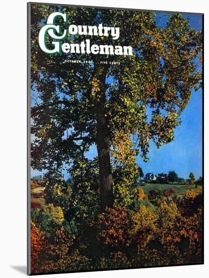 "Tree," Country Gentleman Cover, October 1, 1941-null-Mounted Giclee Print