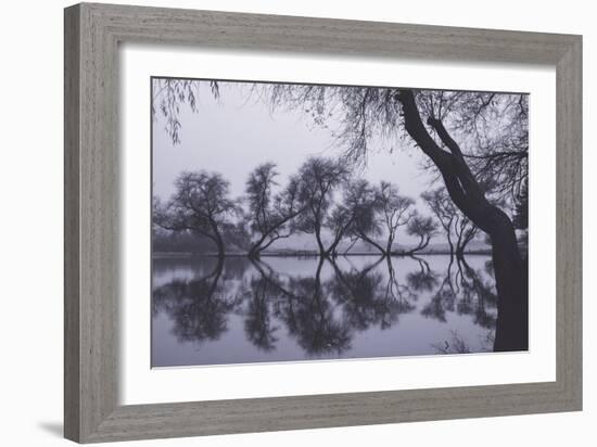 Tree Dance - Reflections at Marin County Pond California-Vincent James-Framed Photographic Print