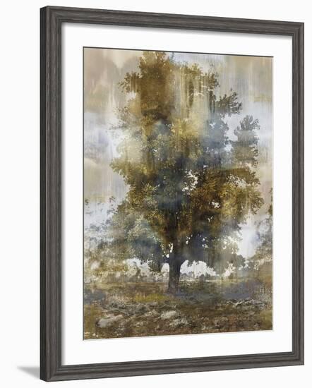 Tree Dreamscape I-Paul Duncan-Framed Giclee Print