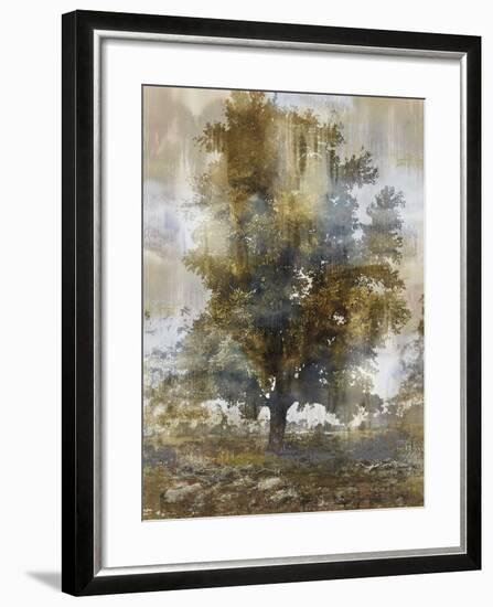 Tree Dreamscape I-Paul Duncan-Framed Giclee Print