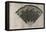 Tree Fan V-John Butler-Framed Stretched Canvas