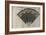 Tree Fan V-John Butler-Framed Premium Giclee Print