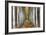 Tree Farm-Michael Cahill-Framed Giclee Print