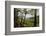 Tree Fern Forest Above the Coast of Abel Tasman NP, New Zealand-James White-Framed Photographic Print