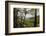 Tree Fern Forest Above the Coast of Abel Tasman NP, New Zealand-James White-Framed Photographic Print