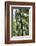 Tree Fern in Melba Gully, Great Otway Np, Victoria, Australia-Martin Zwick-Framed Photographic Print