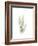 Tree Fern Portrait 1-Albert Koetsier-Framed Premium Giclee Print