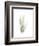 Tree Fern Portrait 1-Albert Koetsier-Framed Premium Giclee Print