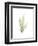 Tree Fern Portrait 1-Albert Koetsier-Framed Premium Giclee Print