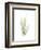 Tree Fern Portrait 1-Albert Koetsier-Framed Premium Giclee Print