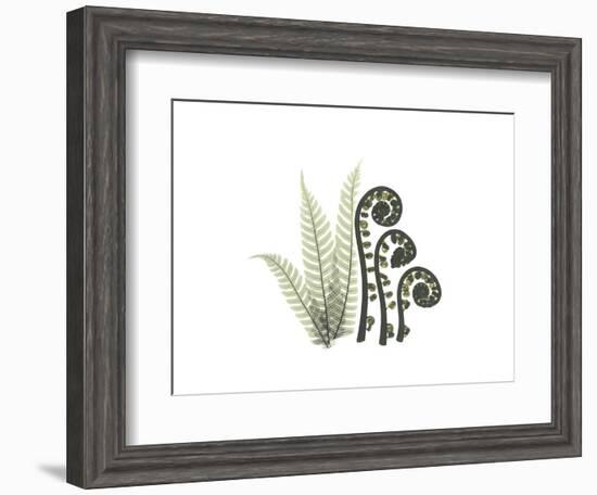 Tree Fern Portrait 2-Albert Koetsier-Framed Premium Giclee Print