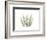 Tree Fern Portrait 4-Albert Koetsier-Framed Premium Giclee Print