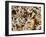 Tree Fern Soft Coral (Clavularia Sp.), Sulawesi, Indonesia, Southeast Asia, Asia-Lisa Collins-Framed Photographic Print