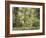 Tree Ferns and Myrtle Beech Trees in the Temperate Rainforest, Australia, Pacific-Jochen Schlenker-Framed Photographic Print