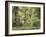 Tree Ferns and Myrtle Beech Trees in the Temperate Rainforest, Australia, Pacific-Jochen Schlenker-Framed Photographic Print