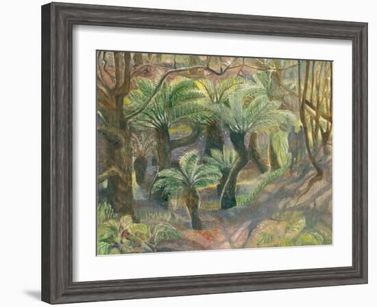 Tree Ferns, Trewidden-Mary Kuper-Framed Giclee Print